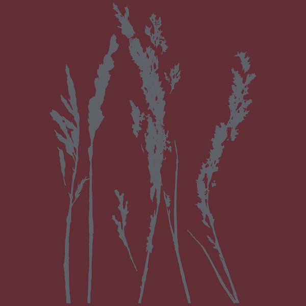 Gras in grijs op wijnrood. Moderne botanische kunst. van Dina Dankers