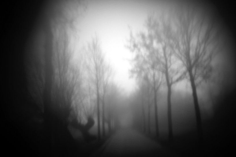 Bornsesteeg Wageningen von Ard Edsjin