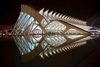 Wissenschaftsmuseum Prinz Felipe, Valencia, Spanien, Architekt Santiago Calatrava