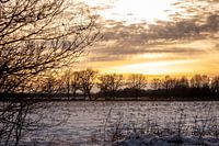 Ein schönes Kunstwerk an der Wand vor Ihnen!