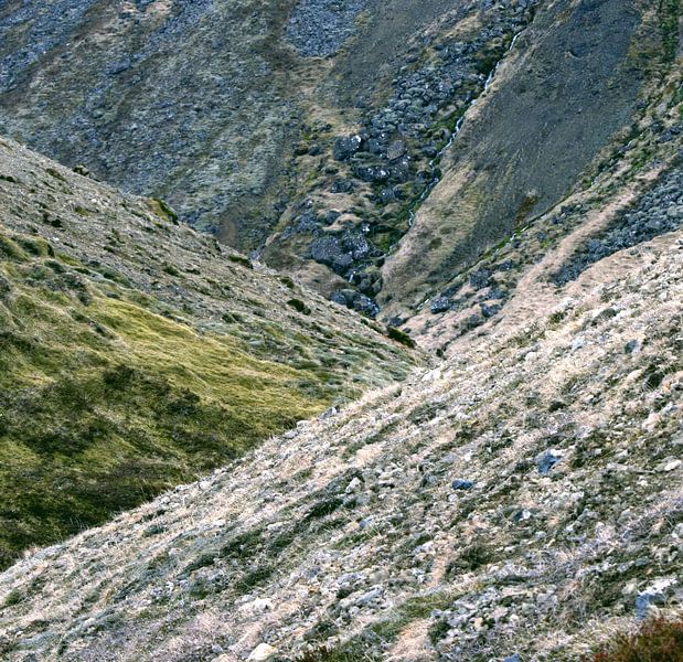 Detail landscape Iceland by fb-fotografie