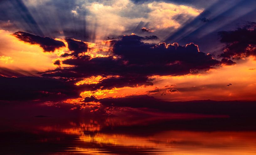 the flight home by Harry Cathunter