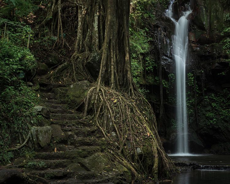 De Putri Palutungan waterval in West Java van Anges van der Logt