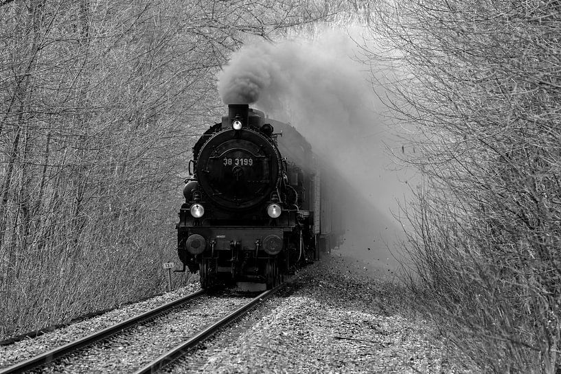 38 3199 von Uwe Ulrich Grün