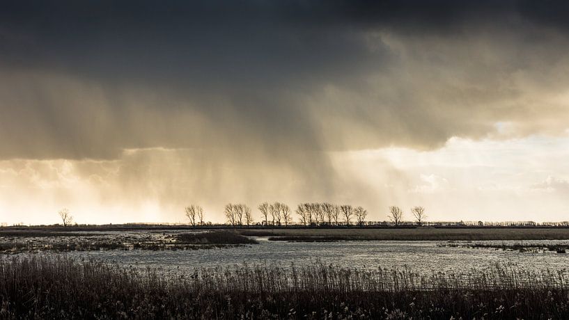 Island &quot;Tiengemeenten&quot; - Holland by Maurice Weststrate