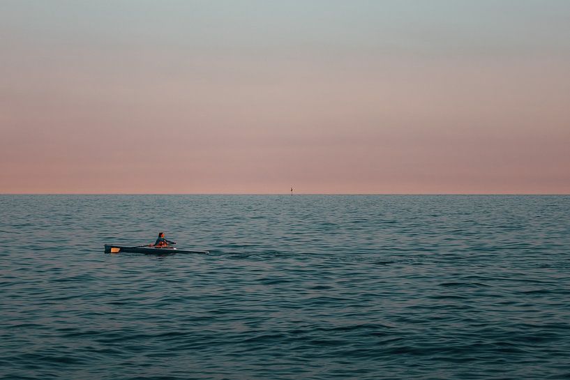 Roister at sunset by Danny Brandsma