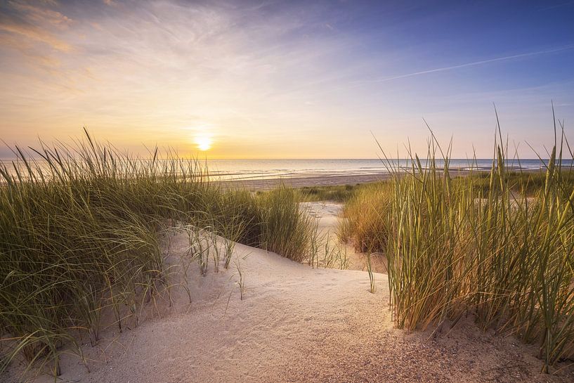 Dünen und Strand von Thom Brouwer