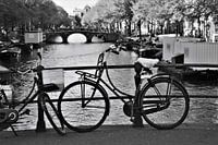 Hollands plaatje in Amsterdam