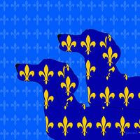 Teckel Royal IV JM1592op