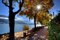 Walk by the lake of Zell