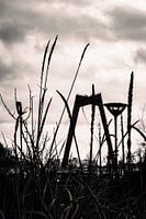 Willemsbrug Rotterdam in the distance