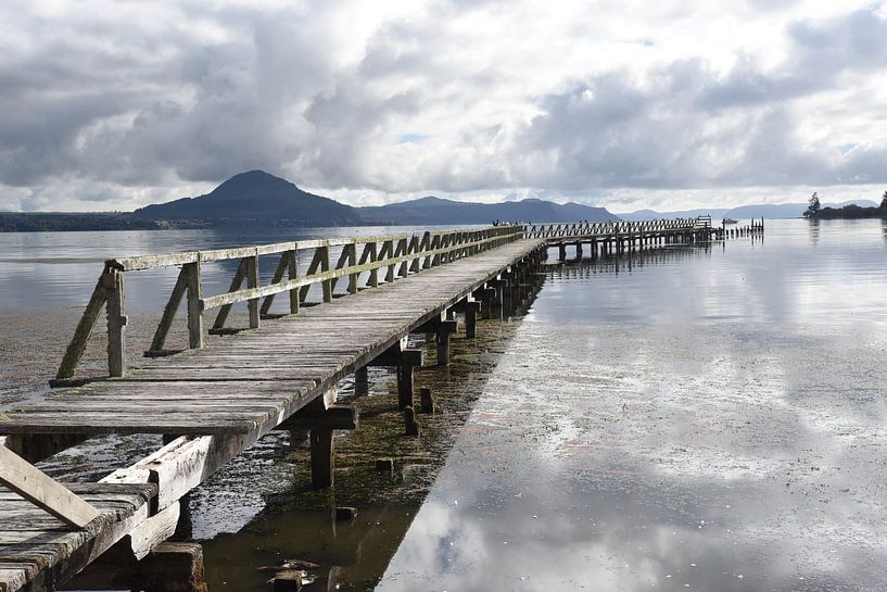 Verfallene Anlegestelle am Südufer des Lake Taupo, Neuseeland von Rini Kools