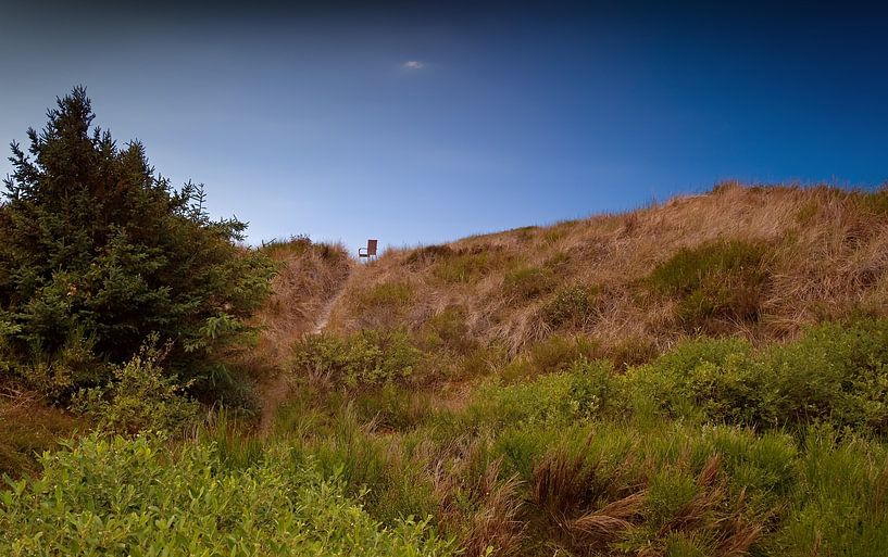 Chaise dans les dunes par Bo Valentino