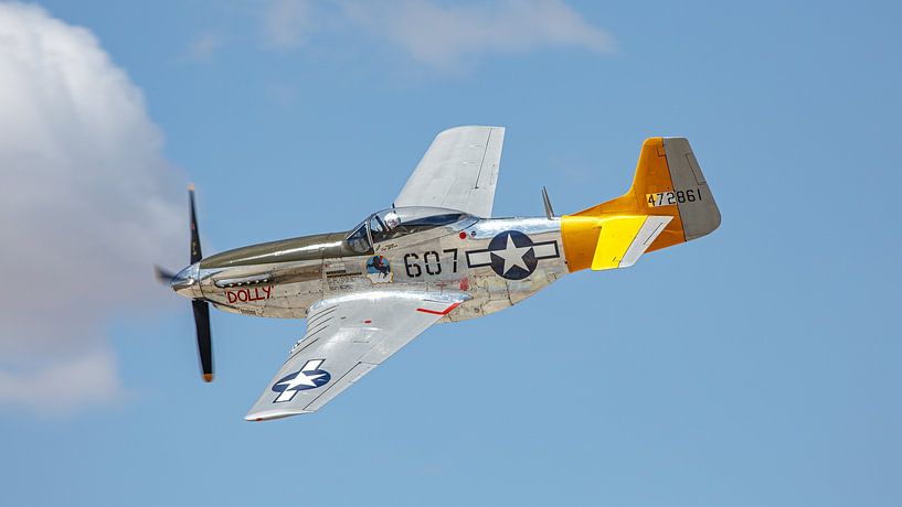 North American P-51D Mustang Spam Can - Dolly. par Jaap van den Berg