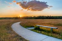 Sonnenuntergang auf dem Dwingelderveld