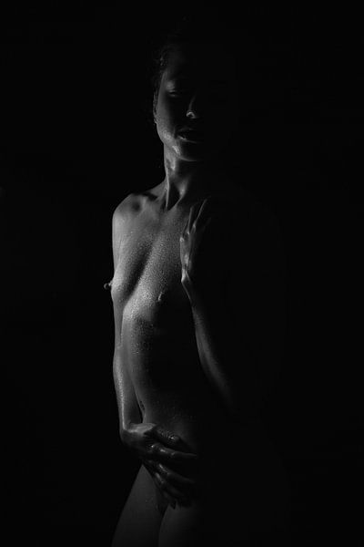 Handeln im Schatten von Reginald Kluijtmans