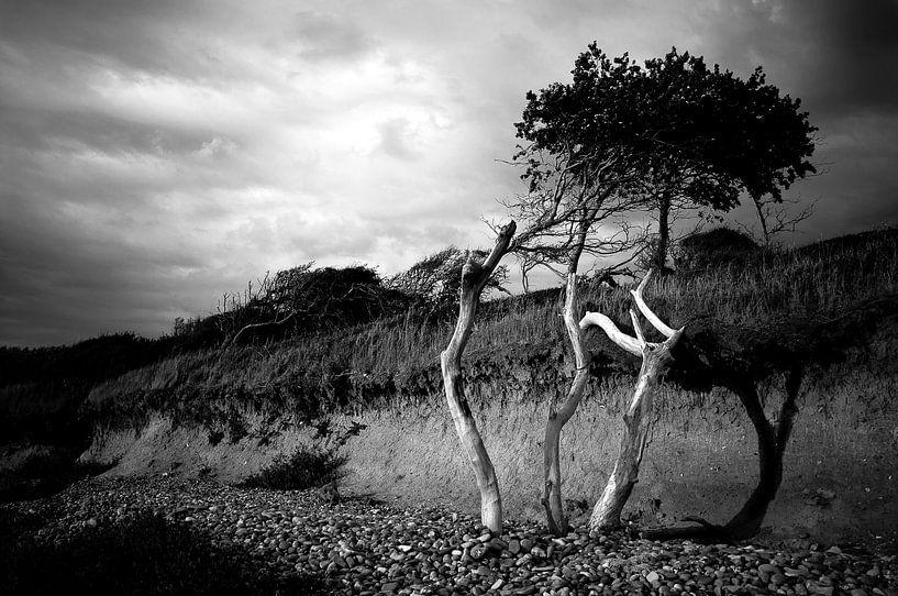 Takke foto by Sonja Pixels