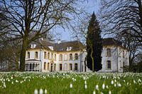 Lente in de Achterhoek