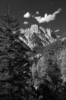 Pristine nature at Berchtesgaden National Park