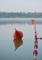 Bouée dans le lac