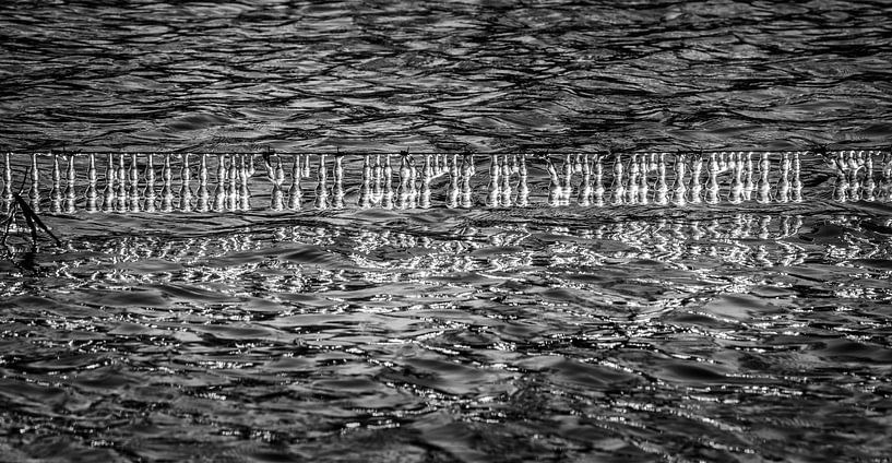 Abstrait Glace sur fil de fer barbelé par Peter Venema