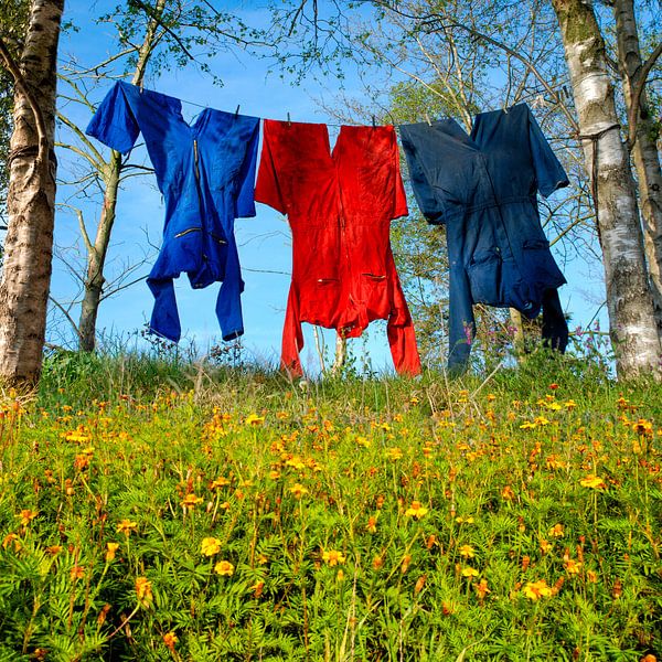 Paysage hollandais - Dans la cour de ferme par Hannie Kassenaar