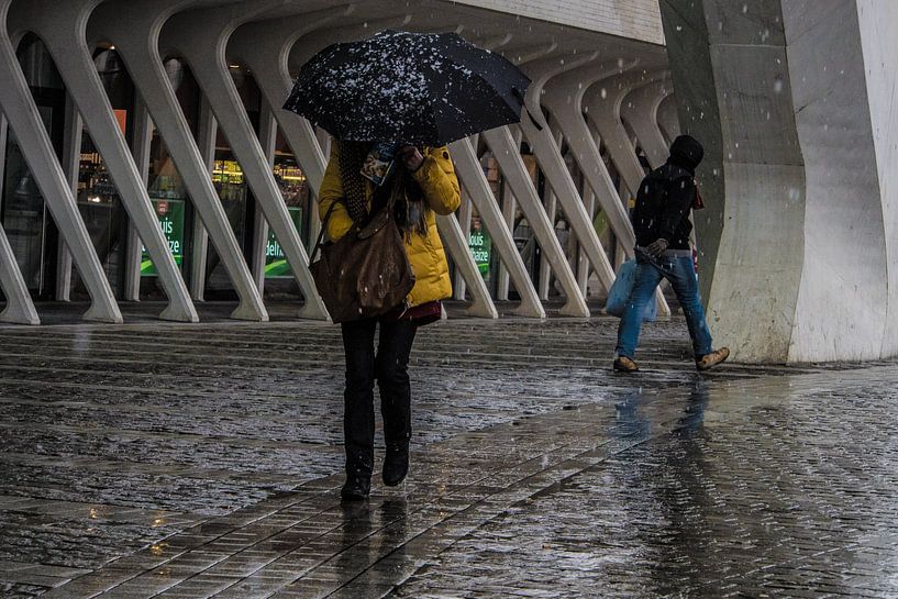 Seeking Shelter par Lex Schulte