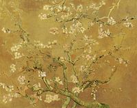Almond blossom by Vincent van Gogh (Ochre)