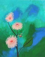 Dahlia's 2 (préférence pour le dahlia cactus)