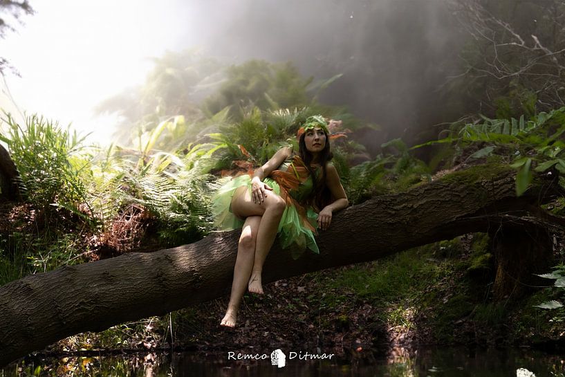 Flora die Waldfee auf einem Baumstamm von Remco Ditmar