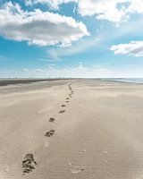 Des pas vers le ciel