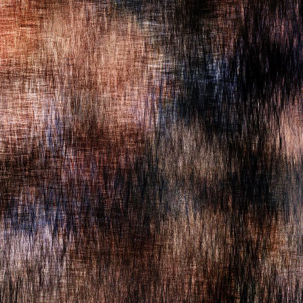 Zirkel 03 von Nelson Guerreiro