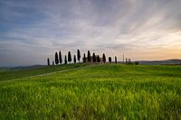 Tuscany, Sunrise, Val d' Orcia