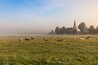 Hollands nevelig landschap met grazende schapen met op de achtergrond de stad IJlst in Friesland. Wo