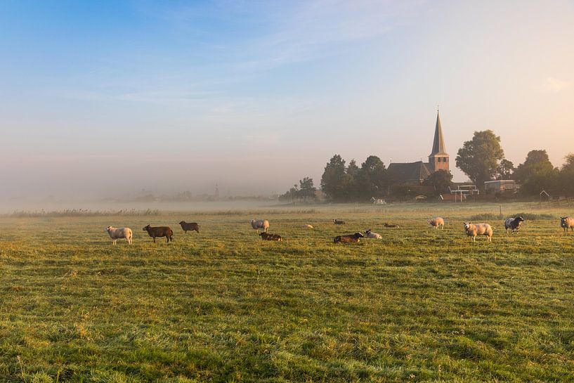 Dutch misty landscape with grazing sheep with the town of IJlst in Friesland in the background. Wo by Wout Kok