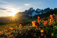 Berglandschaft "Sonnenuntergang mit roten Rosen"