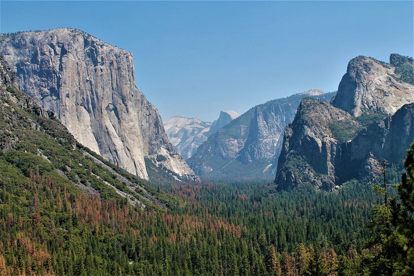 Parc national de Yosemite par Christiaan Van Den Berg