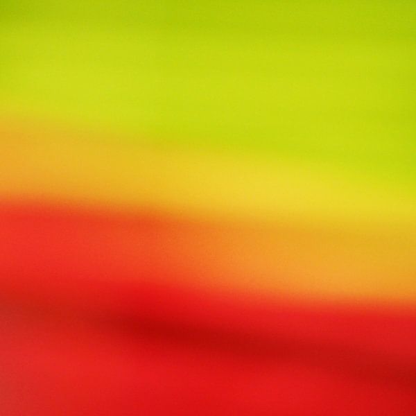 Shukrani van Insolitus Fotografie