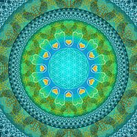 MAHA COHAN - AN'ANASHA voor jouw afbakenende energie