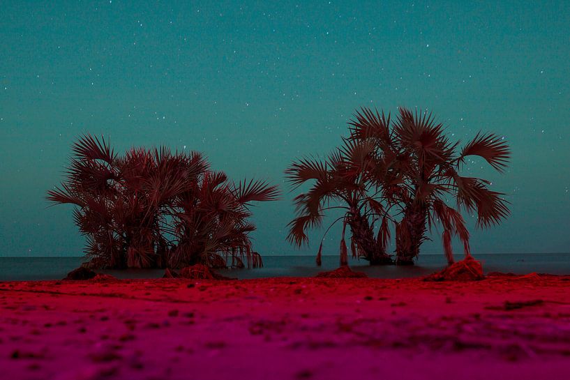 Paradies unter den Sternen von Jesse Simonis