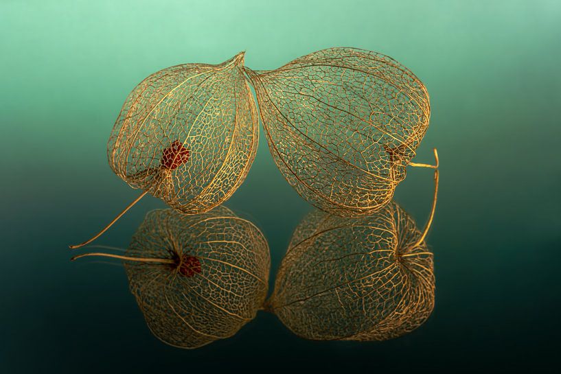 Zo leeg van binnen: 2 lampionnetjes met petrol - turquoise achtergrond van Marjolijn van den Berg