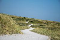 Die Zukunft jenseits der Dünen