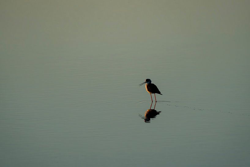 Ein Moment der Besinnung Stille-Wanderer in einer friedlichen Wasserlandschaft von Femke Ketelaar