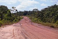 Route de sable rouge dans la jungle du Suriname