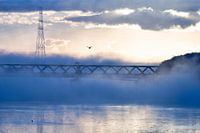 Blaue Brücke und Vogel