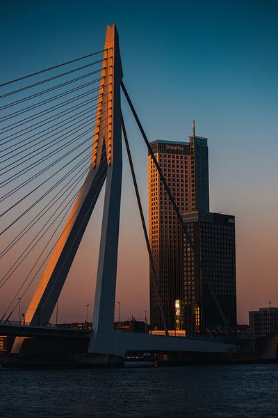 Letztes Sonnenlicht auf der Erasmusbrücke an einem schönen Sommerabend während der blauen Stunde von Arthur Scheltes