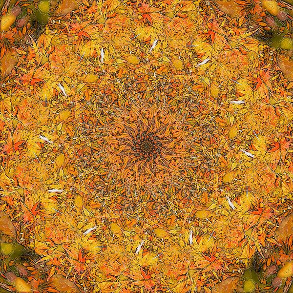 A Show of Hands par Frans Blok - des photos, de l'art et des autres décorations murales