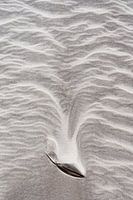 Les lignes jouent dans le sable