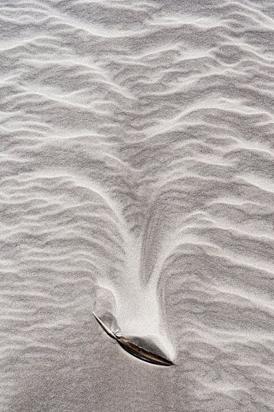 Lines play in the sand by Ronald Mallant