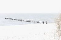 Strandmarker Wattenmeer